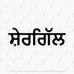 Punjabi Surname Stickers - The Tech Hood Inc.